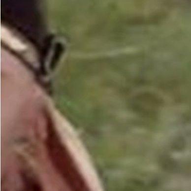 九宫格搞笑图片,欢乐瞬间尽收眼底